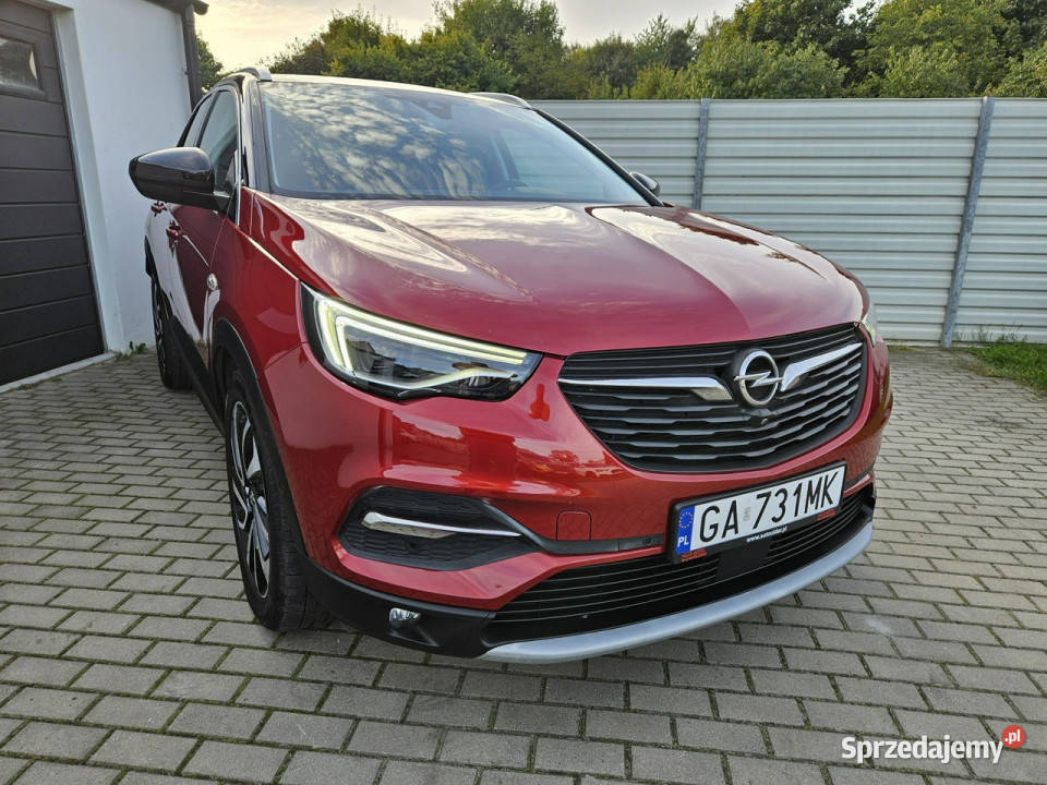Opel Grandland X 20 CDTI 177 automat WYPOSAŻENIE Grandland X pomorskie Gdynia