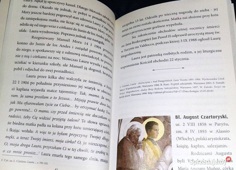 Salezjanie Obraz MB Wspomożenia wiernych Lublin