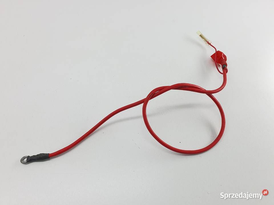 Przewod Kabel Plusowy Akumulatora Cpi Aragon Motoryzacja Łódź