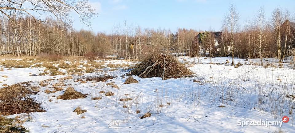 Działka z potencjałem w Kowalewie k Szemudu Wejherowo