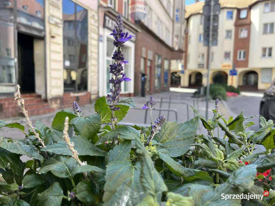Inwestycja w pobliżu Ratusza w centrum Słupska Sprzedaż