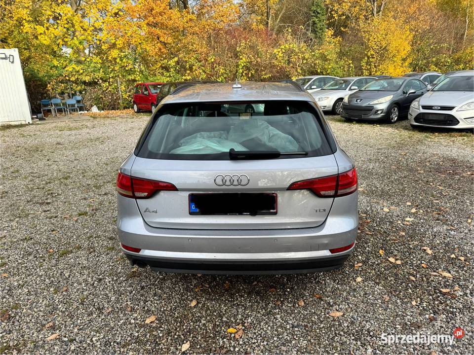 Audi A4 B9 prosto z Niemiec TDi 20 150 6manual Chełmno