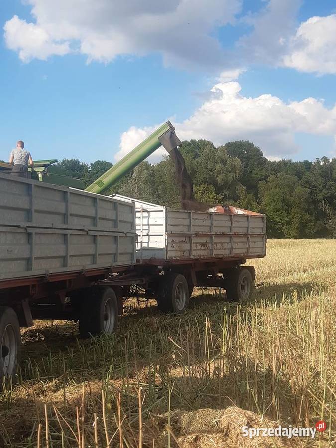Sprzedam zestaw przyczep hl 8011 nieuszkodzony Dęby Szlacheckie