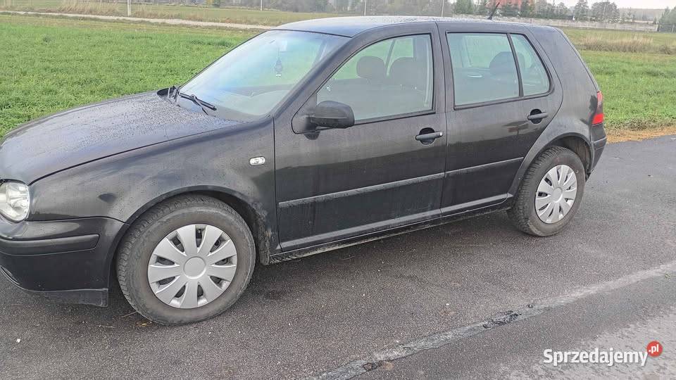 golf 4 Wąbrzeźno