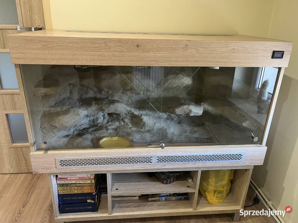 Boa Dusiciel terrarium Boa Constrictor Imperator wielkopolskie Dobrów