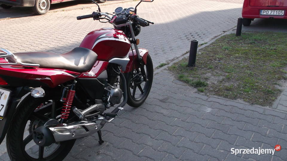 Kymco Pulsar S 125 Kat B Przebieg 500 Stan Poznań sprzedam