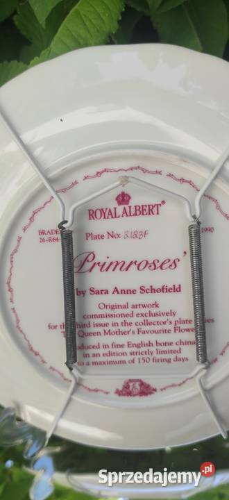 ROYAL ALBERT Sary Anne Schofield Kwiaty z Pabianice sprzedam