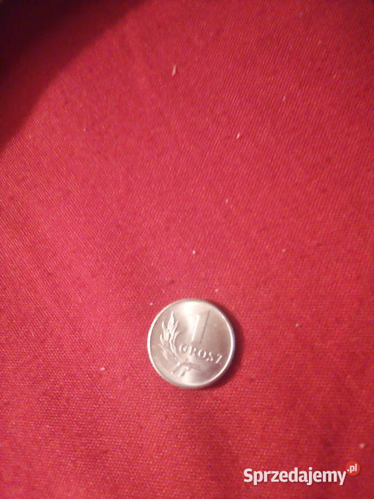 1 grosz 1949 r Warszawa