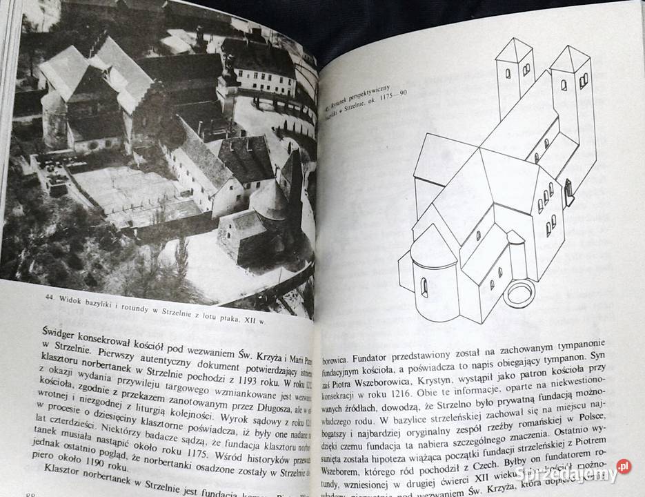 Polska sztuka przedromańska i romańska Teresa Chełm sprzedam