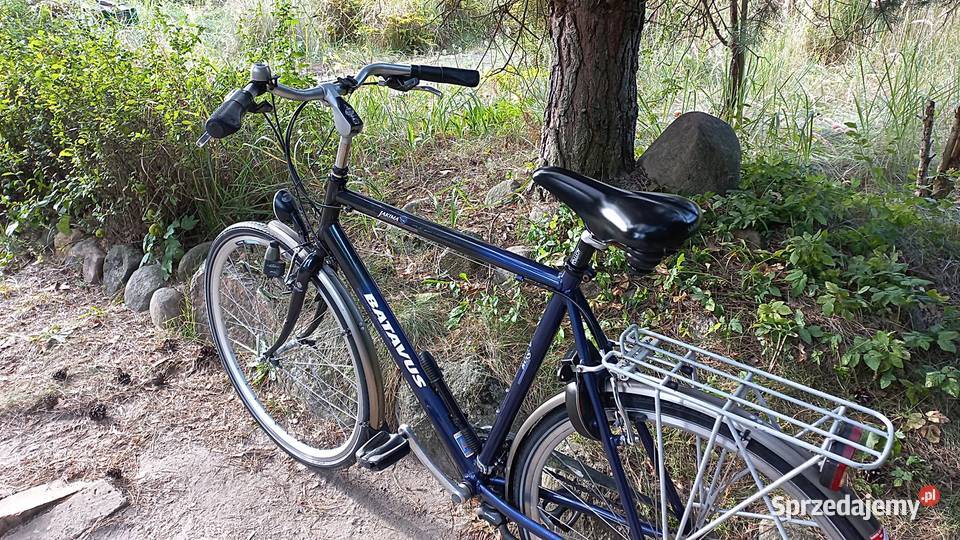 Alu Rower Miejski Męski Holender Batavus Jakima Wołów