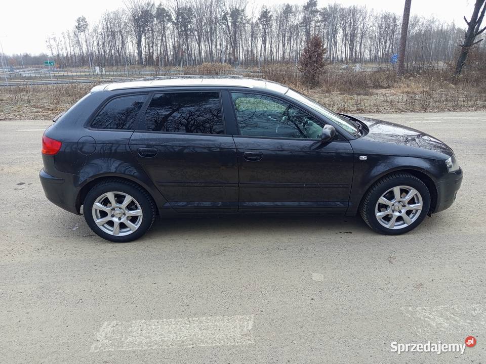 Audi a3 8p 19 TDI nieuszkodzony Urzędów