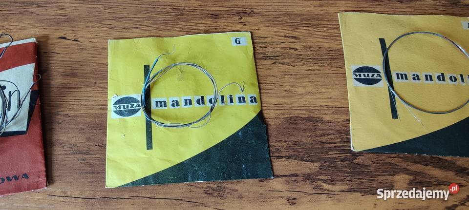 Struny do mandoliny muza historyczna ciekawostka Warszawa
