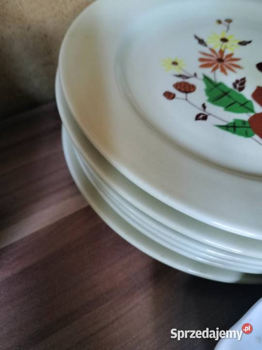 Talerze Tułowice PRL kwiaty 6 sztuk obiadowe Porcelana i szkło Choszczno sprzedam