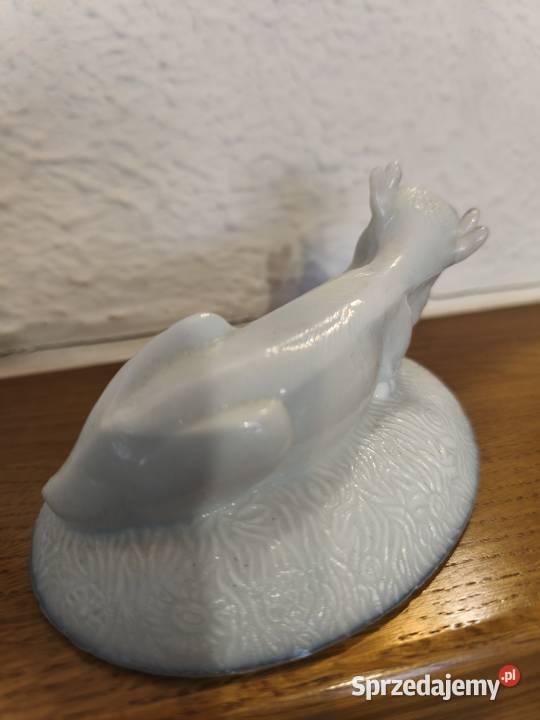 Krowa maselnica lattimo Ząbkowice wielkopolskie Konin