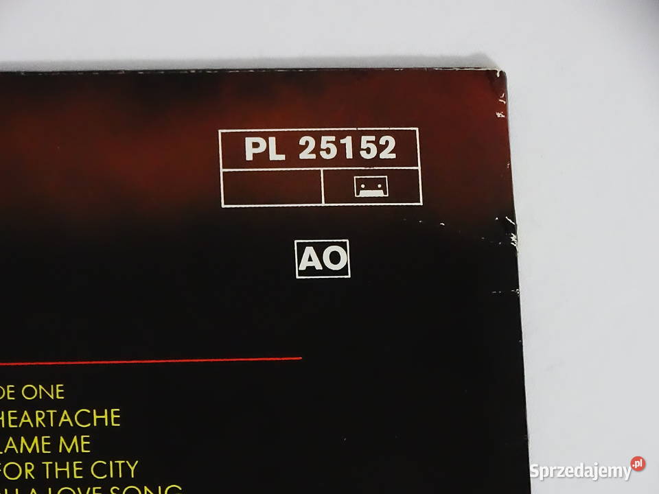 Bonnie Tyler Natural Force 1978 LP winyl RCA lubelskie