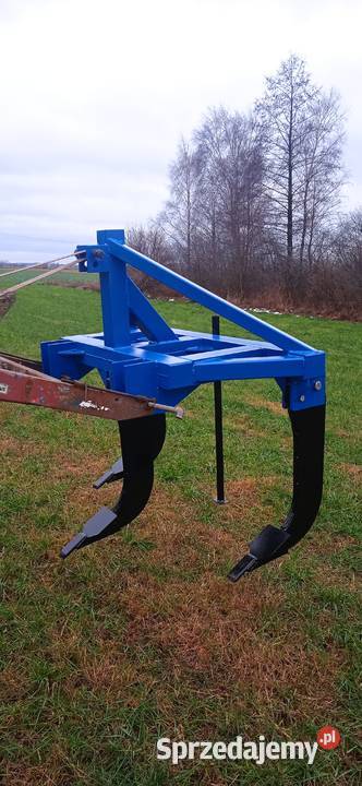 Głębosz mazowieckie Przasnysz