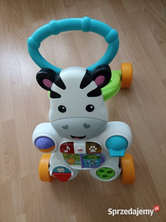 Chodzik Interaktywny Zebra Fischer Łódź