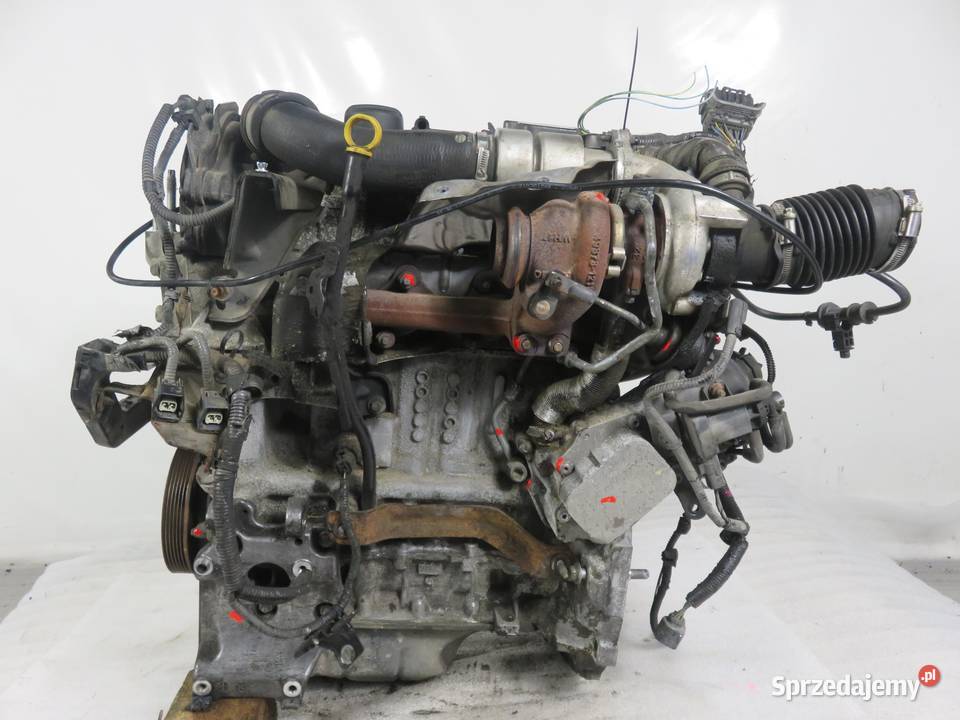 SILNIK FORD FIESTA MK6 VI 14 TDCi KVJA 70 sprzedam