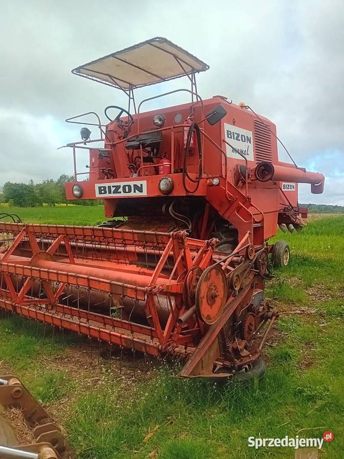 Bizon normal wersja eksportowa Zbożowe Siekierno-Podmieście