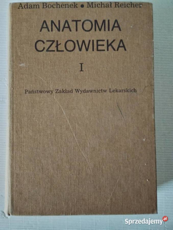ANATOMIA CZŁOWIEKA tom 1 5 Podręczniki Olkusz