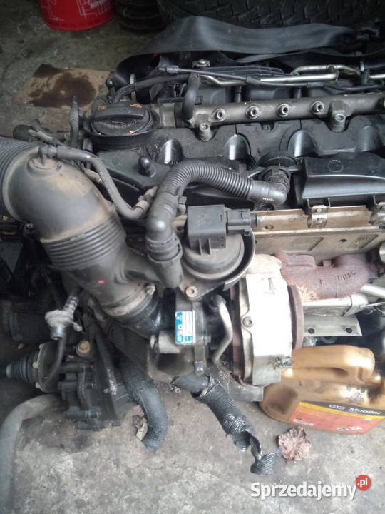 Silnik 16 tdi 105 CAY Audi Skoda Seat Vw Myszków