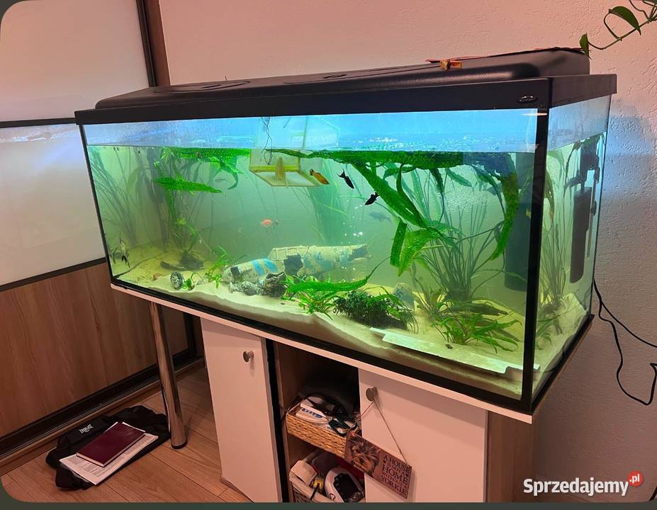 Akwarium 450L Gdańsk