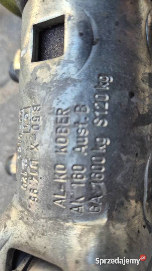 Zaczep alko Pozostałe Hryniewicze