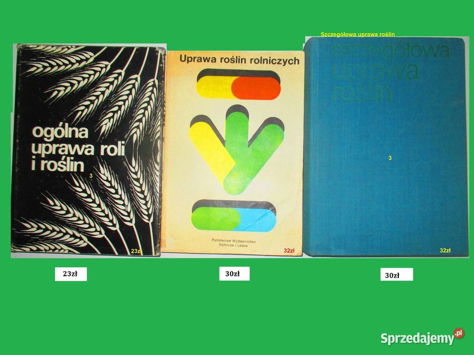 ogrodnictwo ogrodnictwo sadownictwo ogród Łódź