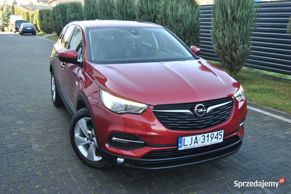 Opel Grandland X Rejestracja ASO Android Auto