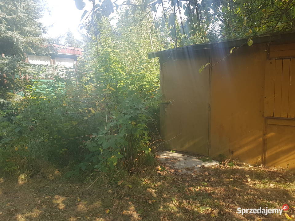 Mega Promocjia do niewielkiej negocjacji mazowieckie