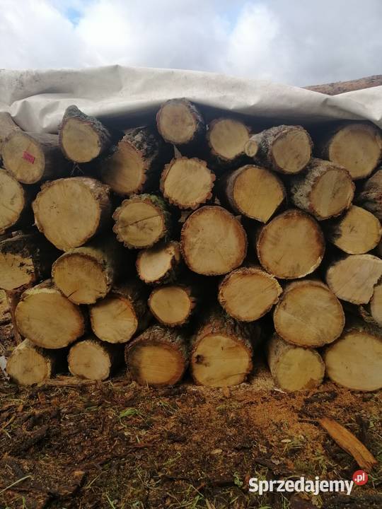 Drewno opałowe SUCHE wałki dębowe sosnowe