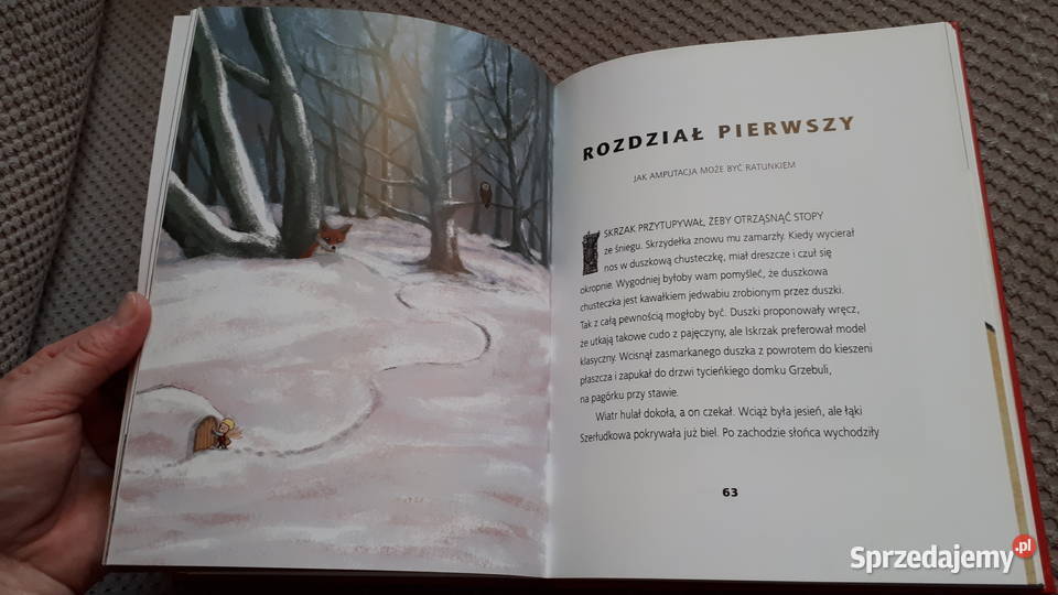 TOLINY Wystrzałowe opowieści dzieci Conn Książki dla dzieci Kraków