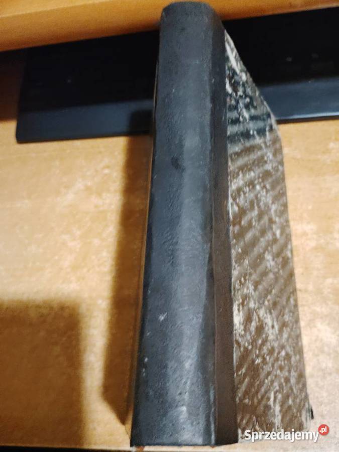 Historya Książąt i Królów PolskichWyciąg z