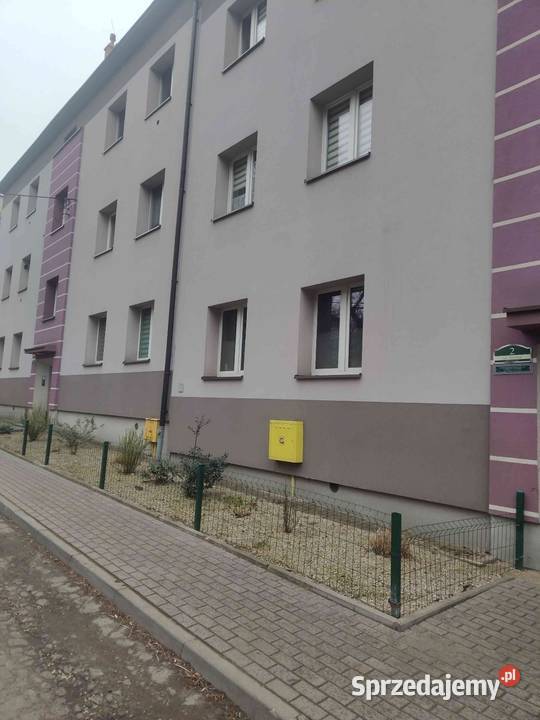 Sprzedam 2 pokoje mieszkanie Tuwima Rozbark Rok budowy 666231100 śląskie Bytom