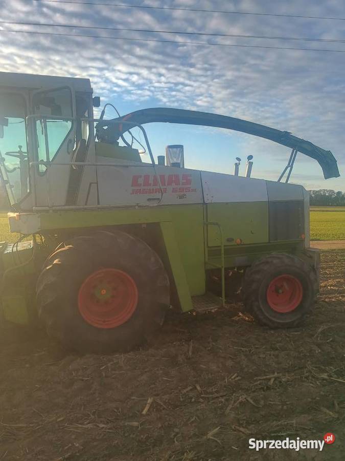 Claas jaguar 695sl Claas Goniądz