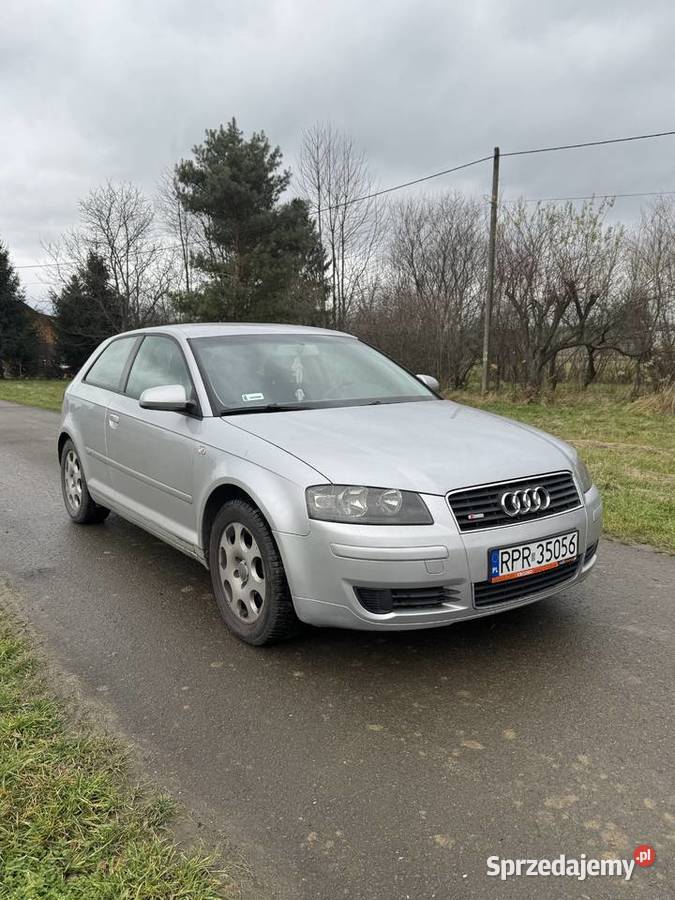 Audi A3 8P 16 MPI 102KM Krosno
