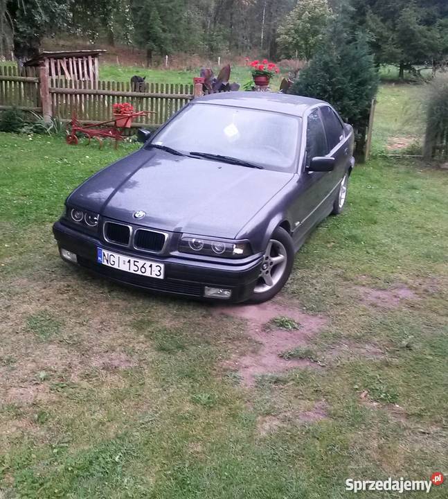 Bmw e36 lift 97 Seria 3 Wejdyki