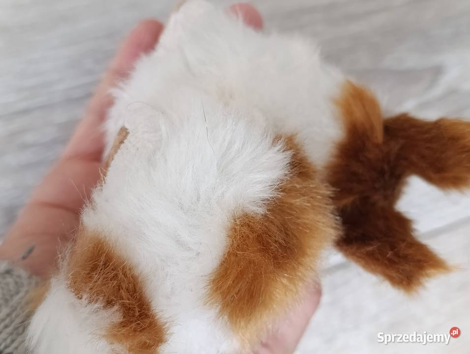 króliczek królik figurka Figurki wielkopolskie Poznań