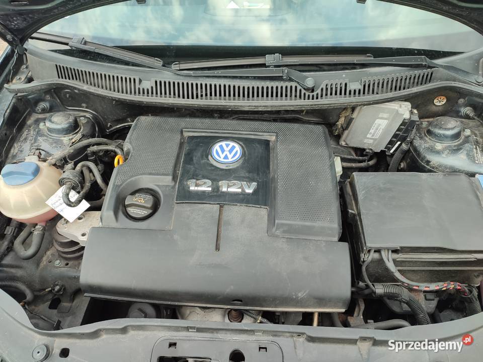 Volkswagen Polo 12 benzyna Polo Radkowice-Kolonia