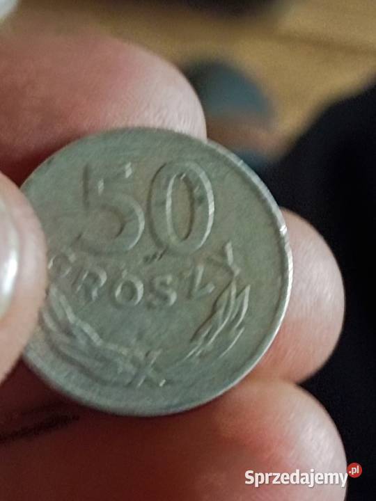 Sprzedam 50 groszy 1973 zzm Chełm