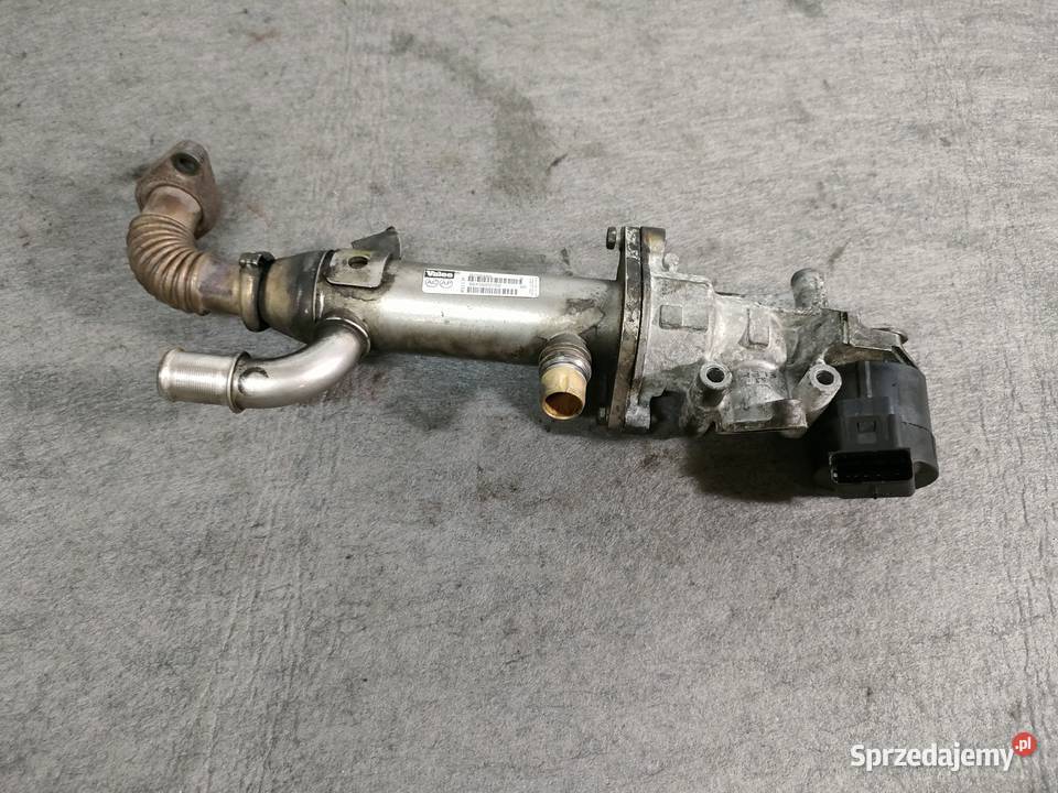 Citroen Peugeot Fiat chłodnica spalin zawór egr Recyrkulacja spalin EGR Swarzędz