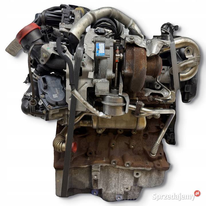 SILNIK K9K636 Renault Scenic Megane III 15 DCI Chełm