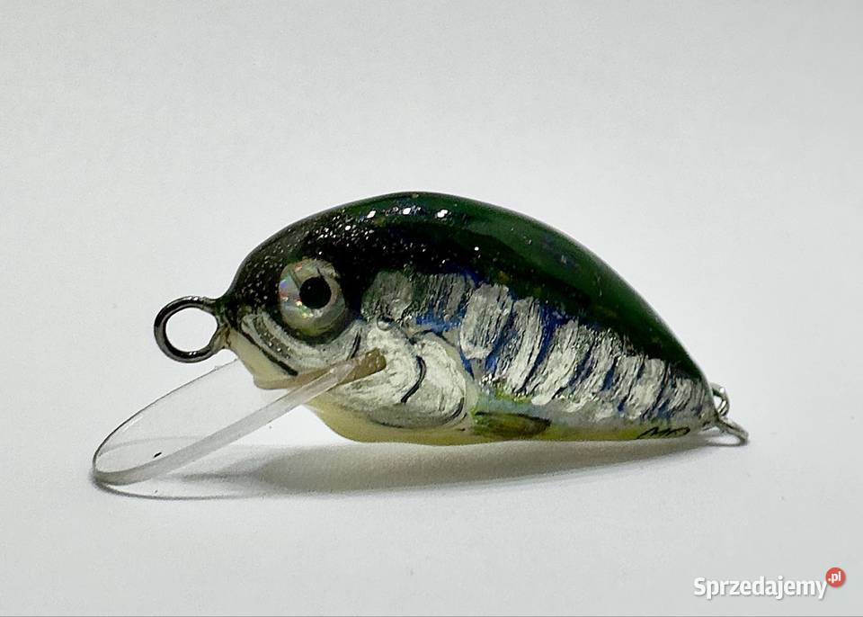 Woblery kleniowojaziowe MD Szczebrzeszyńskie dolnośląskie Wrocław