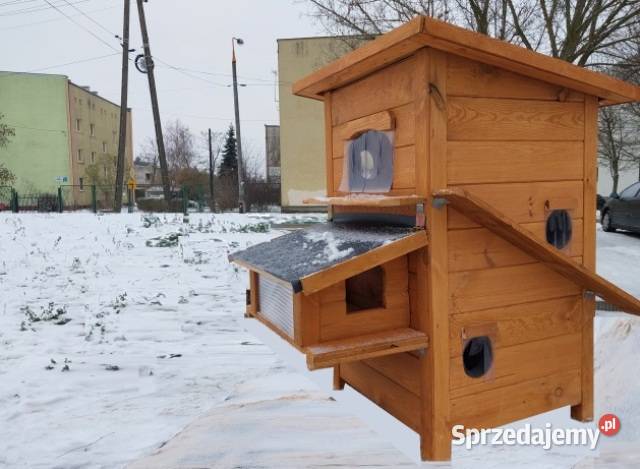 domek kota kotów Skierniewice