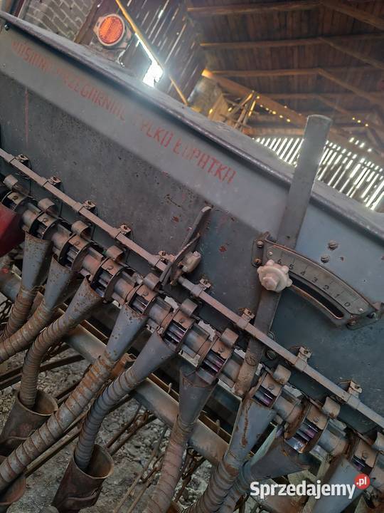 Siewnik zbożowy Drzewica