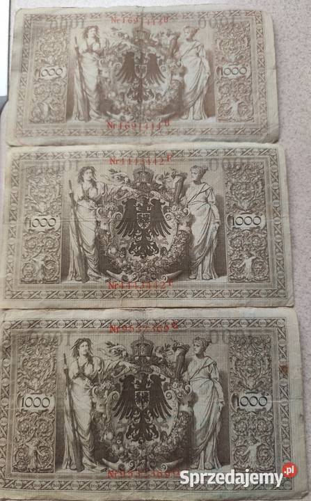 1000marek Leśna