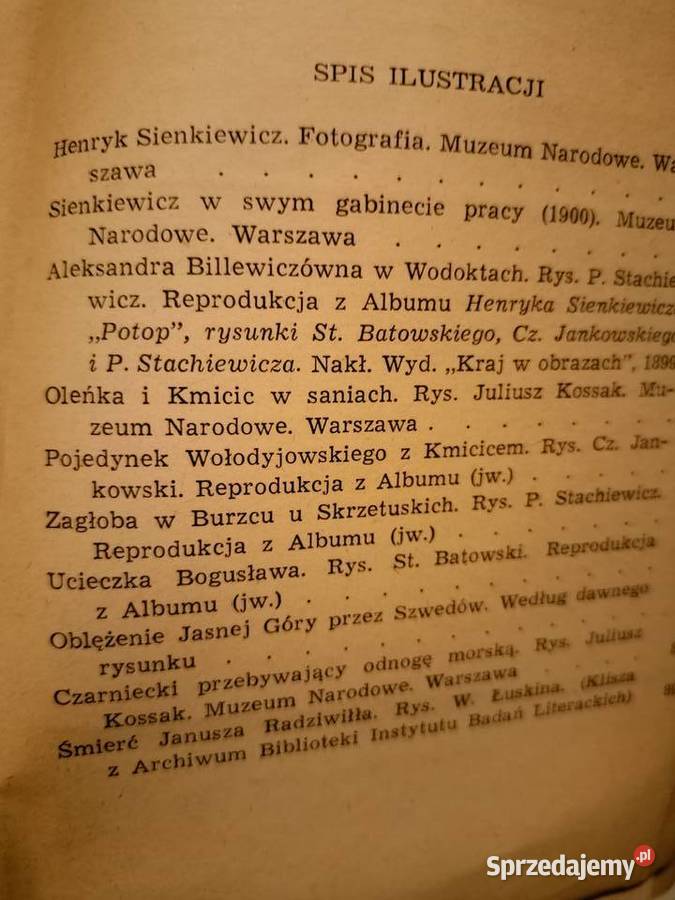 Potop Sienkiewicza biblioteka analiz literatury