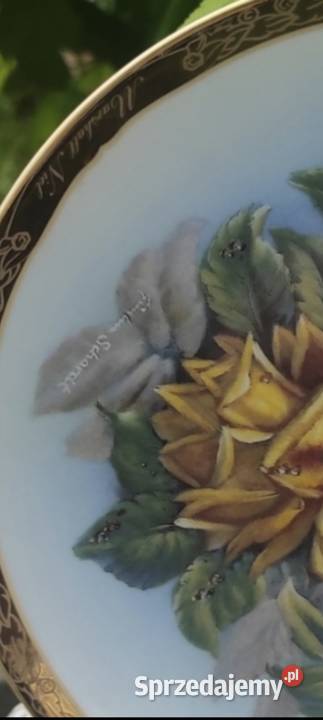 Frstenberg Najpiękniejsze stare różetalerz łódzkie