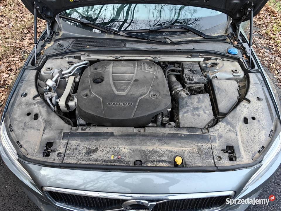 Volvo V90 Volvo V90 D3 Momentum Kombi Full LED automatyczna lubuskie Siedlisko