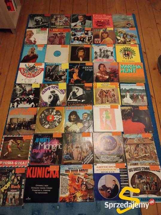 Płyty winylowe Gigantyczny MIX do wyboru do Płyty i kasety Sułów